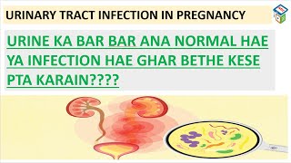 URINARY TRACT INFECTION IN PREGNANCY PART1URINE KA PREGNANCY ME BAR BAR ANA NORMAL HE YA INFECTION [upl. by Rambert580]