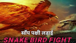 Snake Bird Fight l Samp our chidhiya ladhei l साँप पक्षी लड़ाई l [upl. by Eltsyrhc]