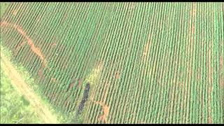 160ha Survey Data in Google Earth [upl. by Oinegue]