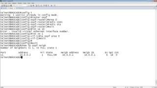 CISCO TO BROCADE BASIC OSPF [upl. by Nylatsirk]