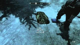 skyrim dupe glitch ANY ITEM explained MUST WATCH BEFORE YOU TRY commentary [upl. by Nuriel113]