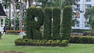 Jamaica Travel Vlog  Ocho Rios Jamaica  RIU Hotel  Part 1 yowdomo [upl. by Oxley649]