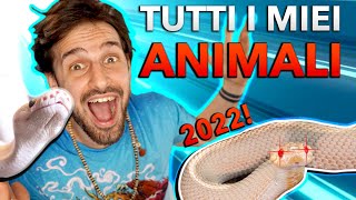 Tutti i miei Rettili 2022 e altre creature strane  speciale 100k iscritti [upl. by Tisbee]