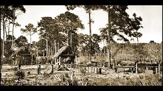 The Secret History of the Miccosukee [upl. by Hoenack]