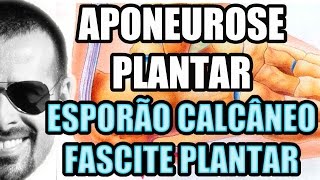 Vídeo Aula 113  Anatomia Humana  Aponeurose ou Fáscia Plantar Esporão Calcâneo e Fascite Plantar [upl. by Winou]