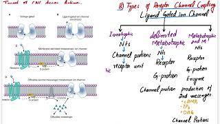 CNS Pharmacology  Katzung Chapter 25  Introduction to CNS Pharmacology  cns pharmacology lectures [upl. by Lynch990]