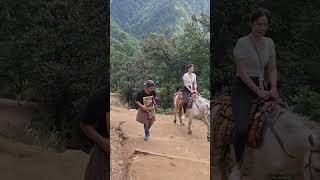 Tourist Riding on Horse to Taktshang  Tigers Nest Monastry  Paro Bhutan [upl. by Llenrup]