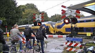 Spoorwegovergang DriebergenZeist  Dutch railroad crossing [upl. by Madlen]