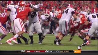 Clemson Vs Georgia FULL GAME HD 2013 [upl. by Ahsemit]