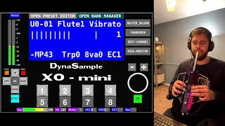 DynaSample XOmini Flute Patch With Novation Peak  EddieEWI [upl. by Gabriellia672]