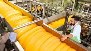 How CHEESE Is Made  Modern Cheese Factory [upl. by Siroved433]