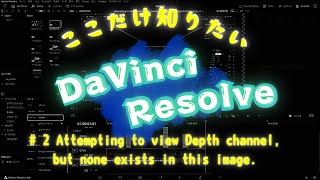 ここだけ知りたい！DaVinci Resolveダビンチリゾルブ！part02 Attempting to view Depth channel but …とかいうエラー [upl. by Damour469]