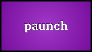 Paunch Meaning [upl. by Philender731]