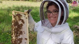 Best Beekeeping Suits Buying Guide  Top 5 Beekeeping Suits Review  ✅✅✅ [upl. by Freda]