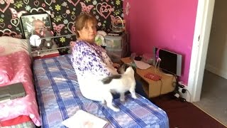 lacey got a new bed Vlog 338 [upl. by Carola]