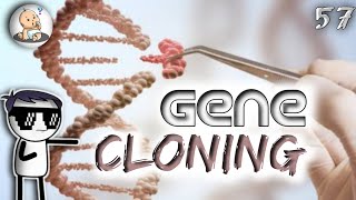 GENE CLONING  GENE CLONING BSc HINDI  DNA  RNA  DNA COPY  GENE CLONING IN HINDI  DNA SYNTHESIS [upl. by Kleiman]