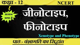 जीनोटाइप और फीनोटाइप।। Xenotype ।।Phenotype।। ncert education biology SudheerSirJi [upl. by Nika]