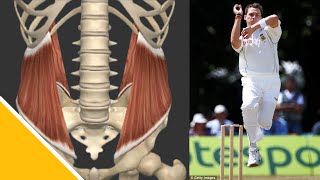 Trunk Muscles for Cricket Fast Bowling │ Prof Benita Olivier [upl. by Isolda]