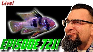 Planted Aquarium Live Stream Show Episode 721 [upl. by Arihaj228]