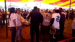 Pelea de Pitbulls en Evento [upl. by Charlene]