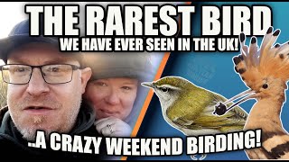 THE RAREST BIRD WE HAVE EVER SEEN IN THE UK A CRAZY BIRDING ADVENTURE [upl. by Anerak]