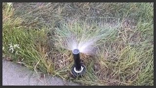 How to install a Rain Bird 1804 sprinkler head [upl. by Uhile676]