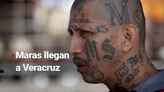 Maras asaltan con MACHETES en Veracruz  Escapan de El Salvador y están el Coatzacoalcos [upl. by Katlaps615]