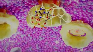 Siderophore Mediated Iron Uptake in Gram Negative Bacteria [upl. by Notsirb]