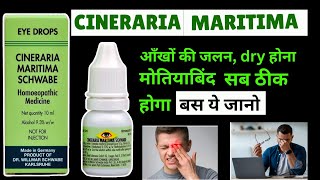 Cineraria Maritima Schwabe Eye Drops Benefits in Hindi Cineraria Drops Reivew Fayde [upl. by Emelen]