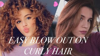 Revlon One Step Hair Dryer on Curly Hair [upl. by Ellenij]