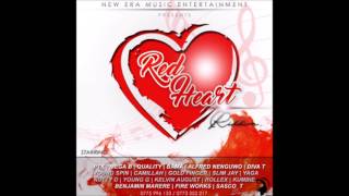 Nutty O My Strength Red Heart Riddim September 2016 Zimdancehall [upl. by Yssak]