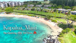 Kapalua MAUI  ReOpening after the FIRES [upl. by Aliuqat459]