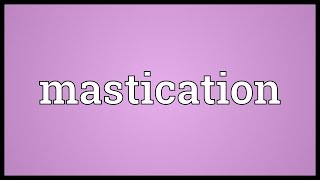 Mastication Meaning [upl. by Pansy]