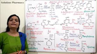 Class 03  Shikimic Acid Pathway Part 02  Shikimic Acid Pathway Steps with Chemical Reaction [upl. by Bonner639]