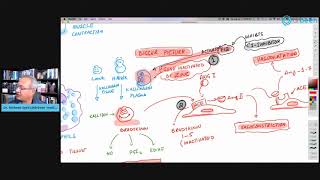 Bradykinin Storm Instead of Cytokine Storm [upl. by Eetnahc]