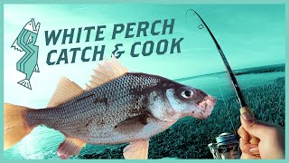 Early Season Striper and White Perch Fishing  NJ Saltwater Fishing [upl. by Annaes]