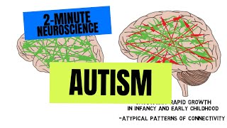 2Minute Neuroscience Autism [upl. by Damicke277]