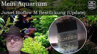 Juwel Bioflow M  Bestückung Update  Mein Aquarium 50 [upl. by Eehsar]