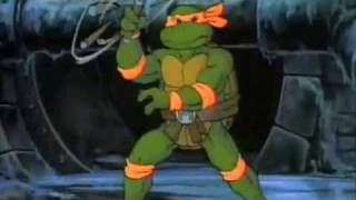 Teenage Mutant Ninja Turtles Theme  RockMetal Version [upl. by Sherr]