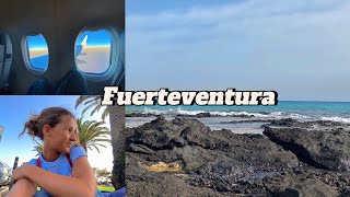 Fuerteventura VlogðŸŒŠâ˜€ï¸ðŸª¸ mit unerwarteter BegegnungðŸšï¸ [upl. by Ricardama]