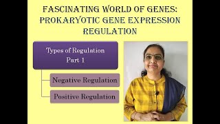 Prokaryotic Gene Expression RegulationTypes of RegulationNegative RegulationPositive Regulation [upl. by Leahcin]