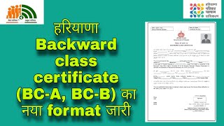 Bacward class certiticate new format in haryana New BCA certificate in haryana New BCB certificate [upl. by Harias696]