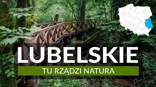 WOJEWÓDZTWO LUBELSKIE  tu rządzi natura Ponad 30 atrakcji i miejsc na weekend i wakacje [upl. by Sherry39]