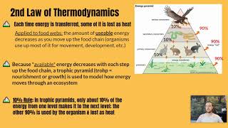 APES Notes 19 amp 110  Trophic Levels amp The 10 Rule [upl. by Eimmij270]