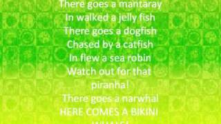 Rock Lobster Lyrics [upl. by Phaih626]