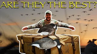 Dive Bomb V2 Canada Goose Silhouette Decoys [upl. by Estus]