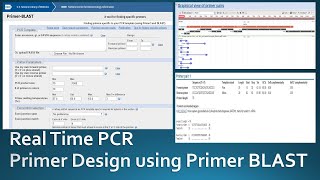 Primer designing for real time PCR using NCBI Primer Blast [upl. by Iain]