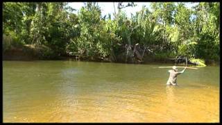 Lockhart River Bush Food [upl. by Weisbrodt]