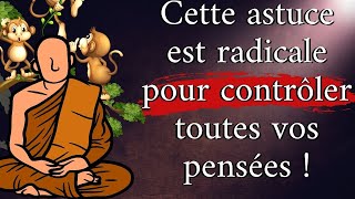 COMMENT CONTROLER SES PENSÉES NÉGATIVES  Enseignement du Bouddha [upl. by Ennairb]