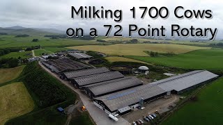 Milking 1700 Cows on a 72 Point Rotary  Scotland [upl. by Salim]